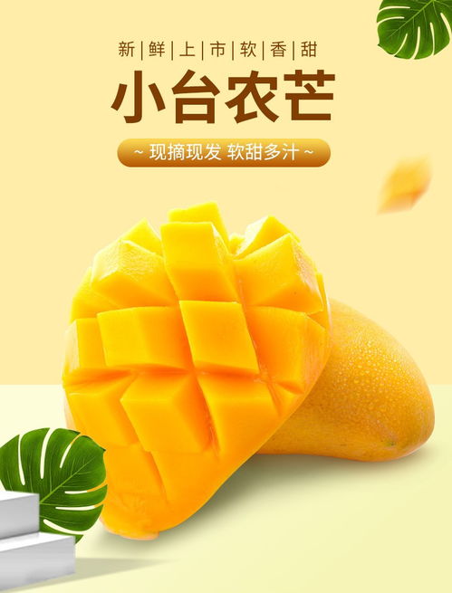 盛夏甜心 海南臺農(nóng)芒果5斤裝，當(dāng)季鮮甜順豐直達(dá)